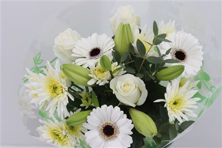 Срезанные цветы оптом Bouquet splash white от 8шт из Голландии с доставкой по России