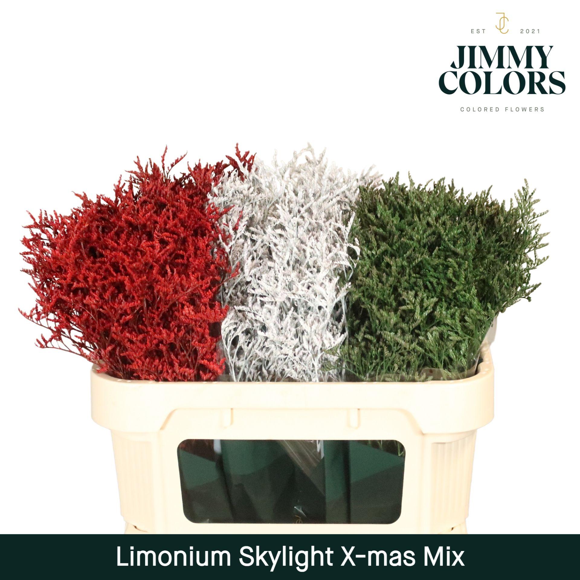 Срезанные цветы оптом Limonium paint mix christmas A от 75шт из Голландии с доставкой по России