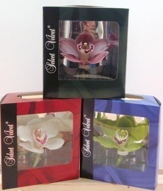 Срезанные цветы оптом Cymbidium packed per flower от 12шт из Голландии с доставкой по России