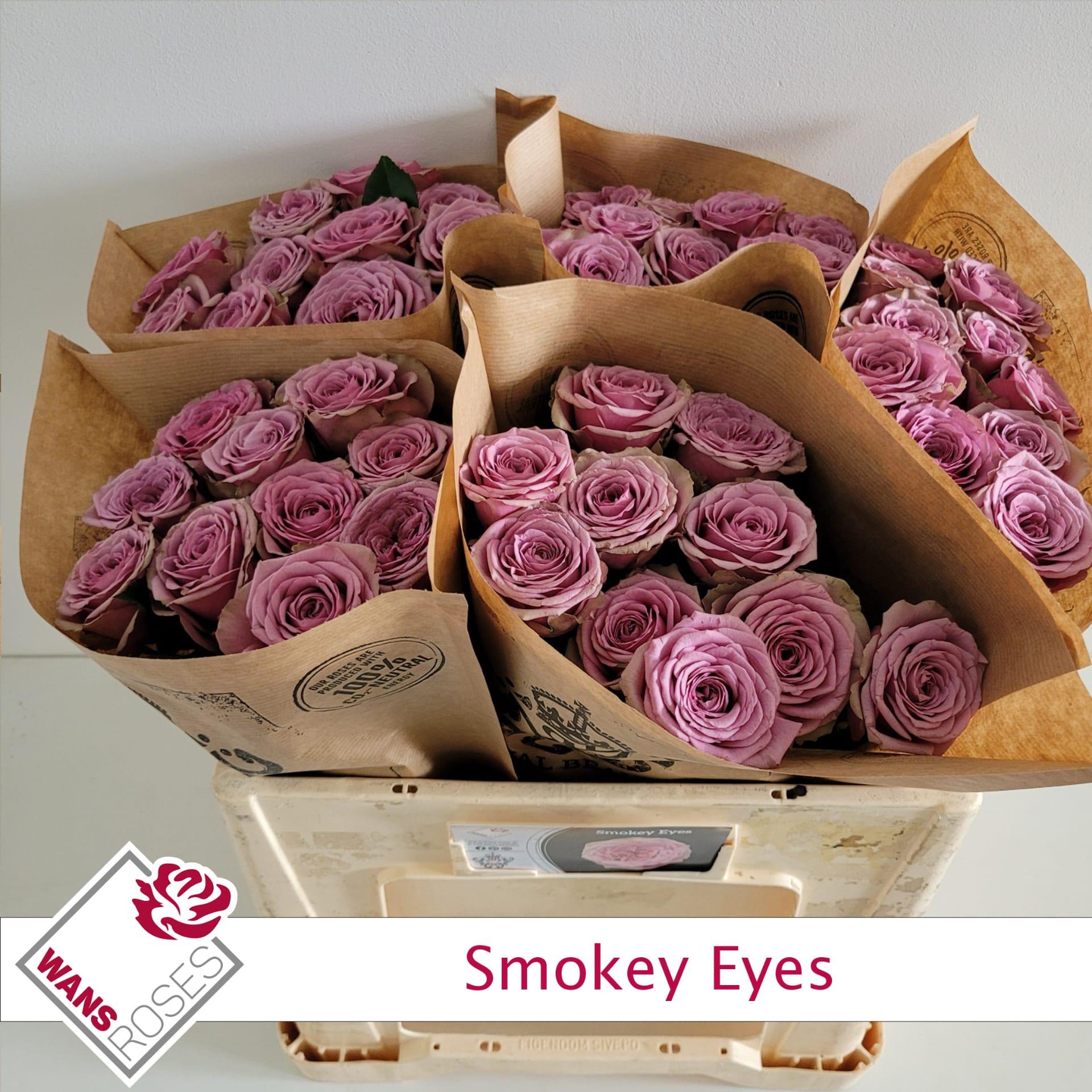 Срезанные цветы оптом Rosa large smokey eyes от 50шт из Голландии с доставкой по России