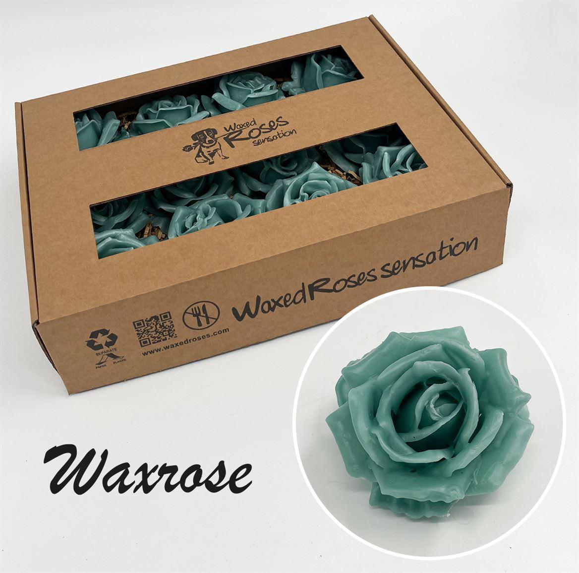 Срезанные цветы оптом Rosa large silk wax green light от 12шт из Голландии с доставкой по России