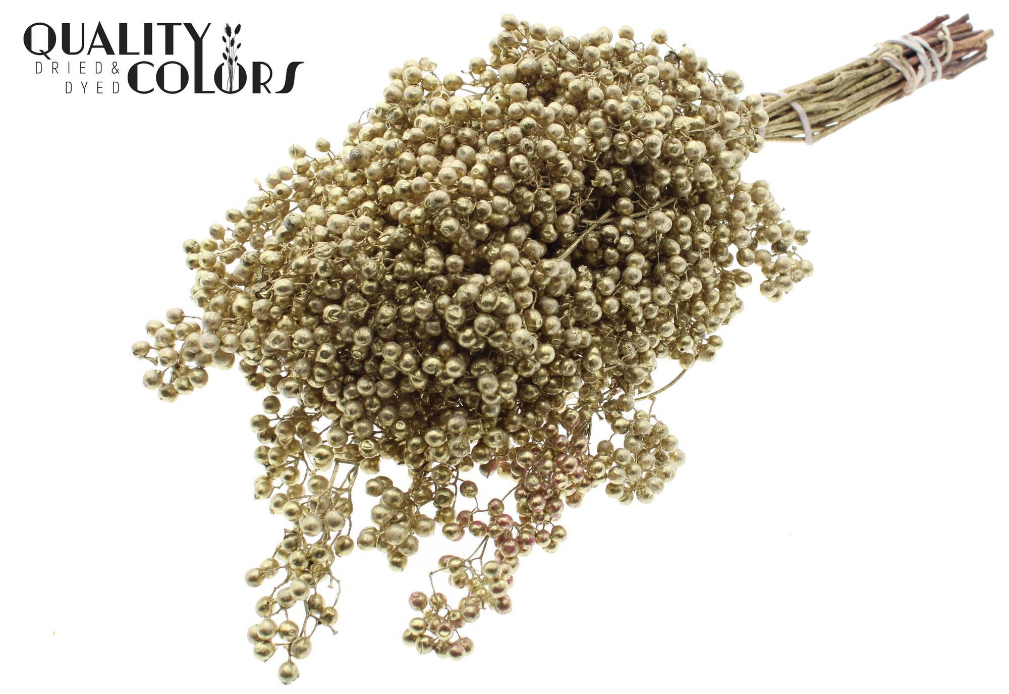 Срезанные цветы оптом Pepperberries per bunch in poly Gold от 5шт из Голландии с доставкой по России