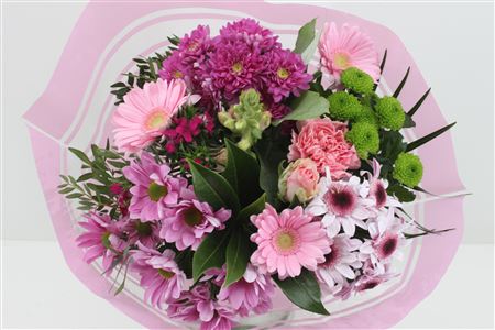 Срезанные цветы оптом Bouquet 15 stem pink от 8шт из Голландии с доставкой по России