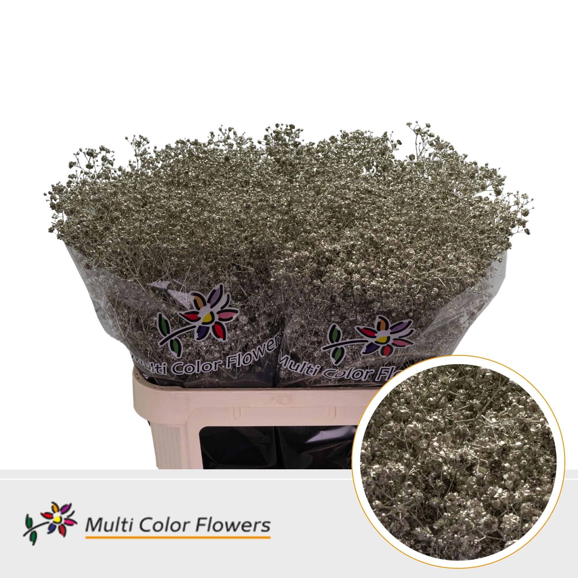 Срезанные цветы оптом Gyps large paint platinum от 50шт из Голландии с доставкой по России