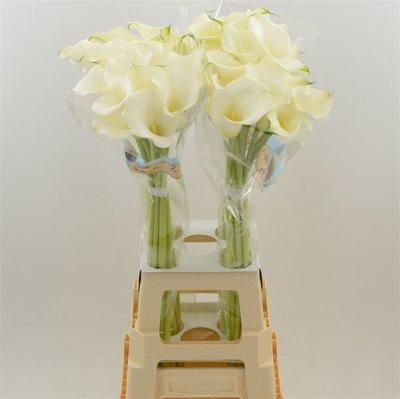 Срезанные цветы оптом Zantedeschia captain ventura от 40шт из Голландии с доставкой по России