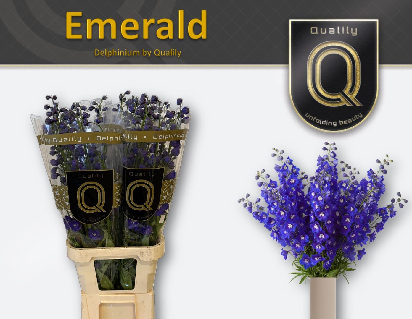 Срезанные цветы оптом Delphinium do el emerald от 40шт из Голландии с доставкой по России