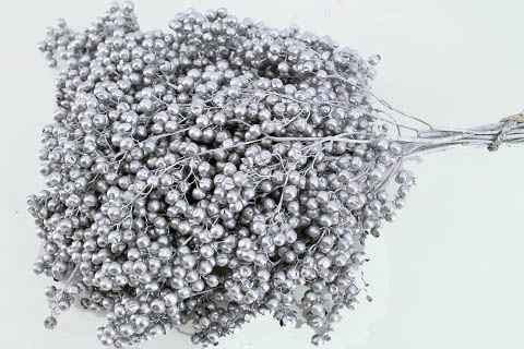 Срезанные цветы оптом Schinus mollis paint silver от 10шт из Голландии с доставкой по России