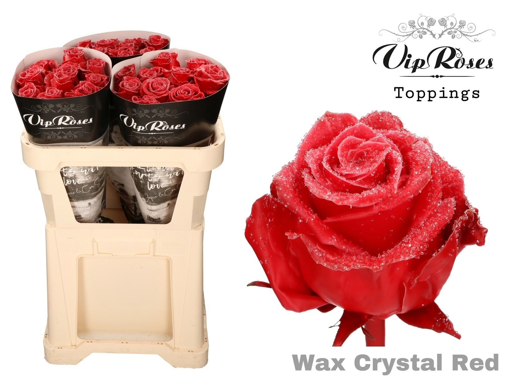 Срезанные цветы оптом Rosa la wax red crystal от 30шт из Голландии с доставкой по России