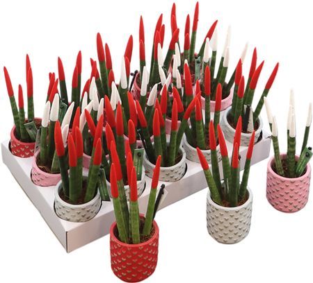 Горшечные цветы и растения оптом Sans Cyl Velvet Touch Keramiek Kaya от 15шт (для телеги) из Голландии с доставкой по России