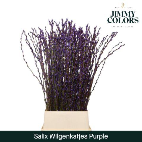 Срезанные цветы оптом Salix paint pussy willow purple от 100шт из Голландии с доставкой по России