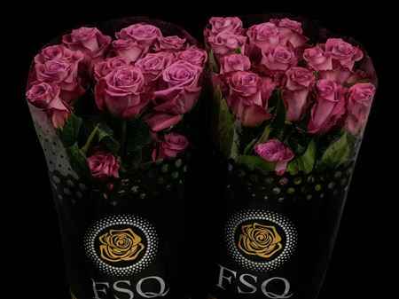 Срезанные цветы оптом Rosa ec piacere от 40шт из Голландии с доставкой по России