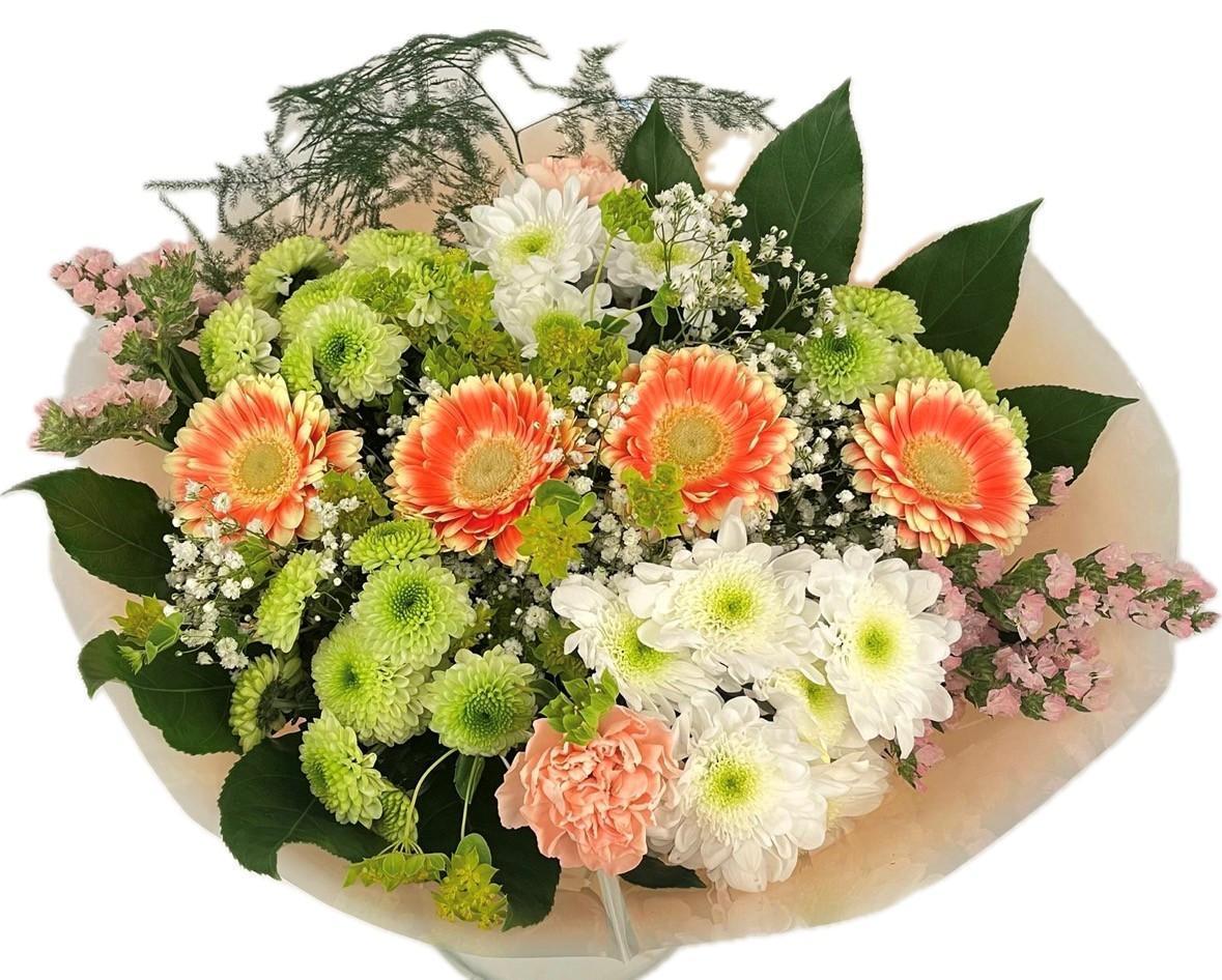 Срезанные цветы оптом Bq Barbotine L от 2шт из Голландии с доставкой по России