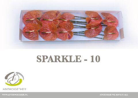 Срезанные цветы оптом Anthurium sparkle от 10шт из Голландии с доставкой по России