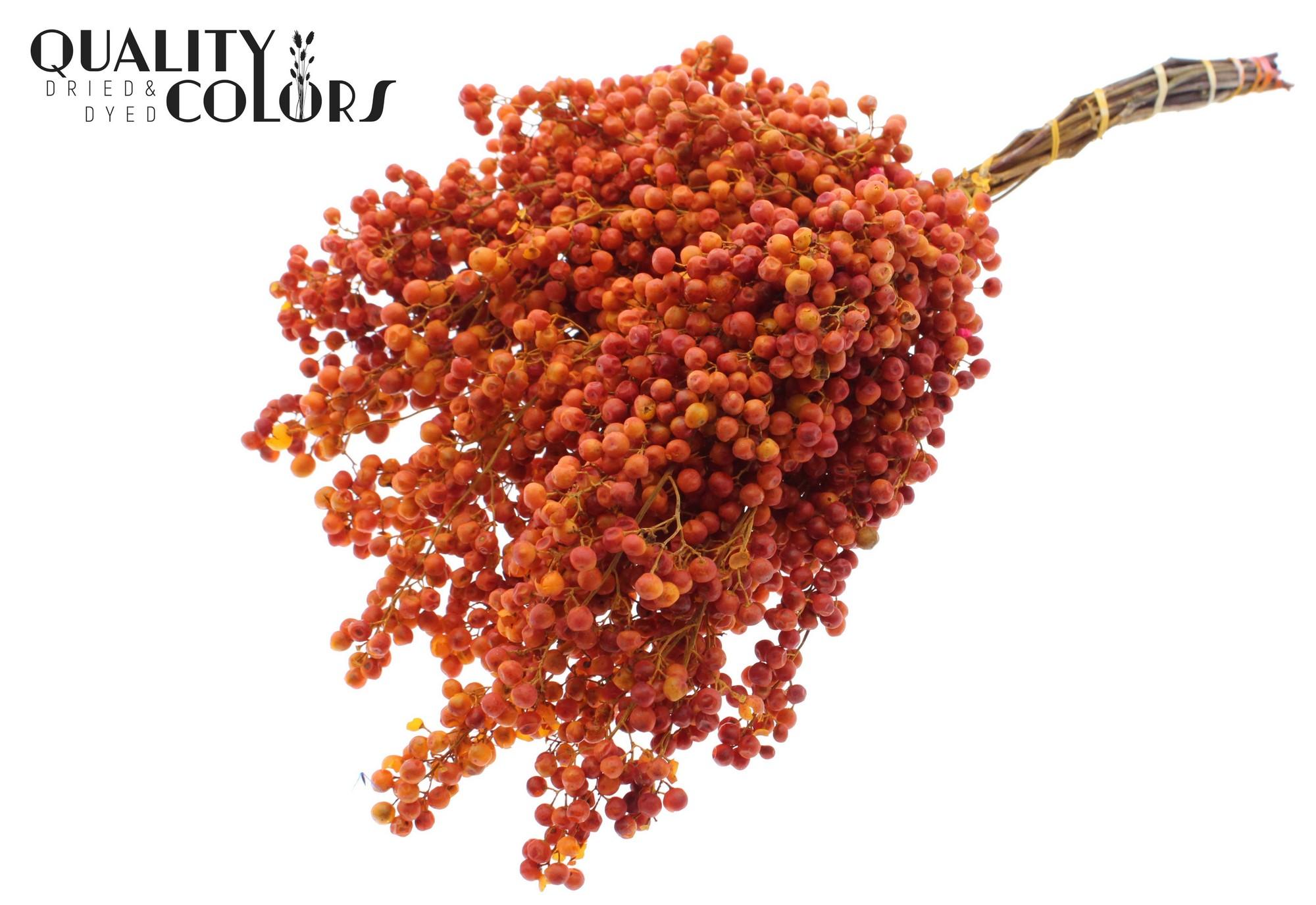 Срезанные цветы оптом Pepperberries per bunch in poly Terracotta от 5шт из Голландии с доставкой по России