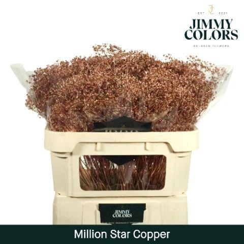 Срезанные цветы оптом Gyps fine paint copper от 25шт из Голландии с доставкой по России