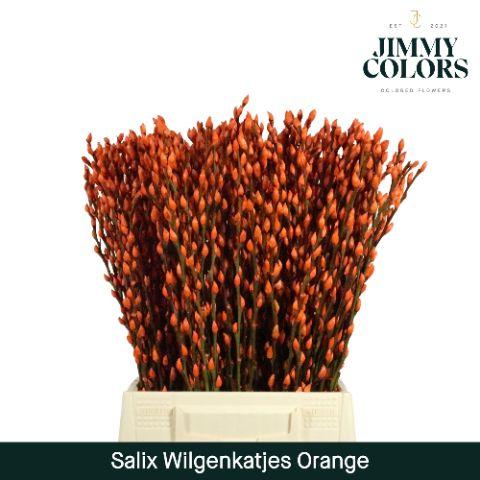 Срезанные цветы оптом Salix paint pussy willow orange от 300шт из Голландии с доставкой по России