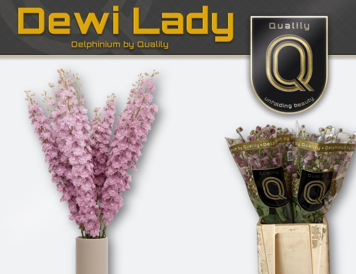 Срезанные цветы оптом Delphinium el du dewi lady от 40шт из Голландии с доставкой по России