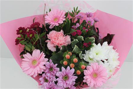 Срезанные цветы оптом Bouquet germini pink от 3шт из Голландии с доставкой по России