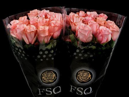 Срезанные цветы оптом Rosa ec be sweet от 40шт. из Голландии с доставкой по России