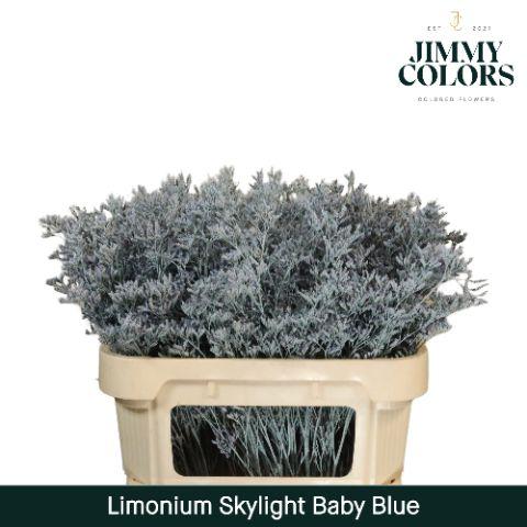 Срезанные цветы оптом Limonium paint blue light от 25шт из Голландии с доставкой по России