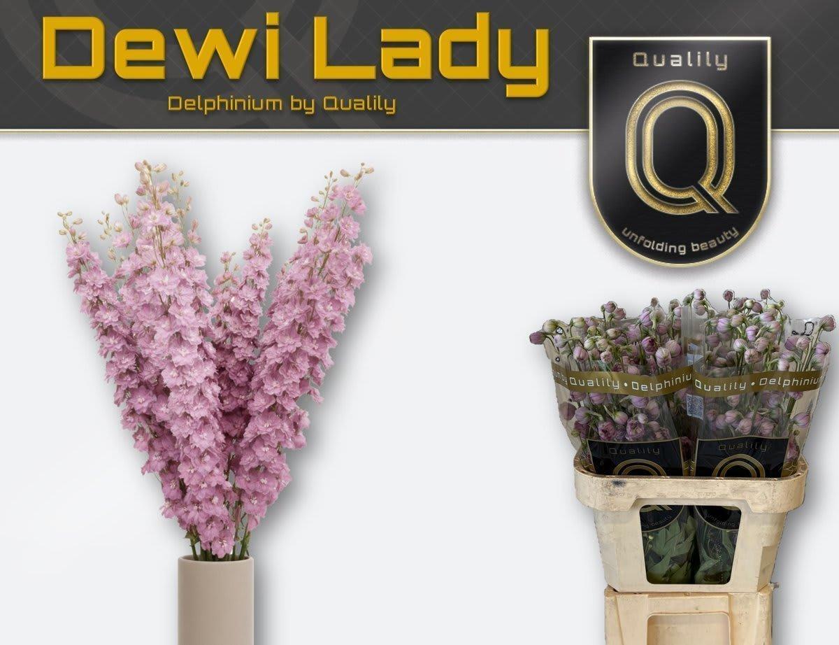 Срезанные цветы оптом Delphinium el du dewi lady от 40шт из Голландии с доставкой по России