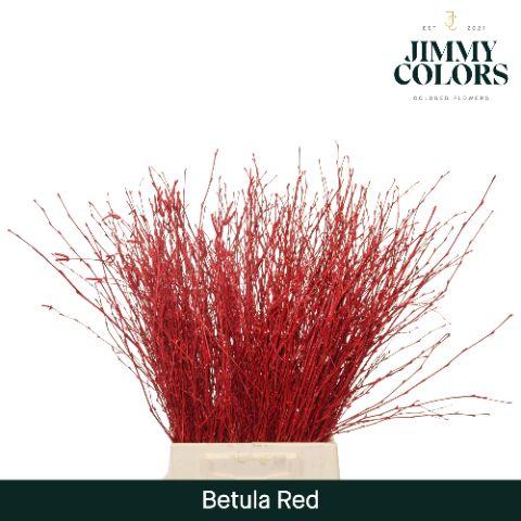 Срезанные цветы оптом Betula paint red от 20шт из Голландии с доставкой по России