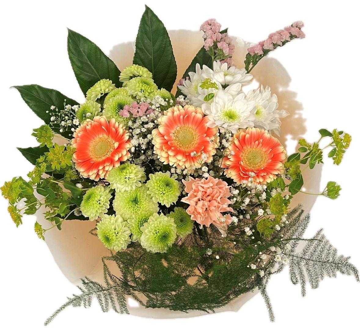 Срезанные цветы оптом Bq Barbotine M от 3шт из Голландии с доставкой по России