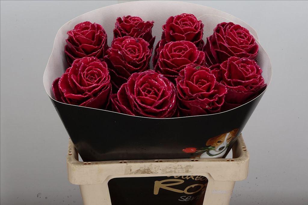 Срезанные цветы оптом Brassica wax crane cerise от 10шт из Голландии с доставкой по России