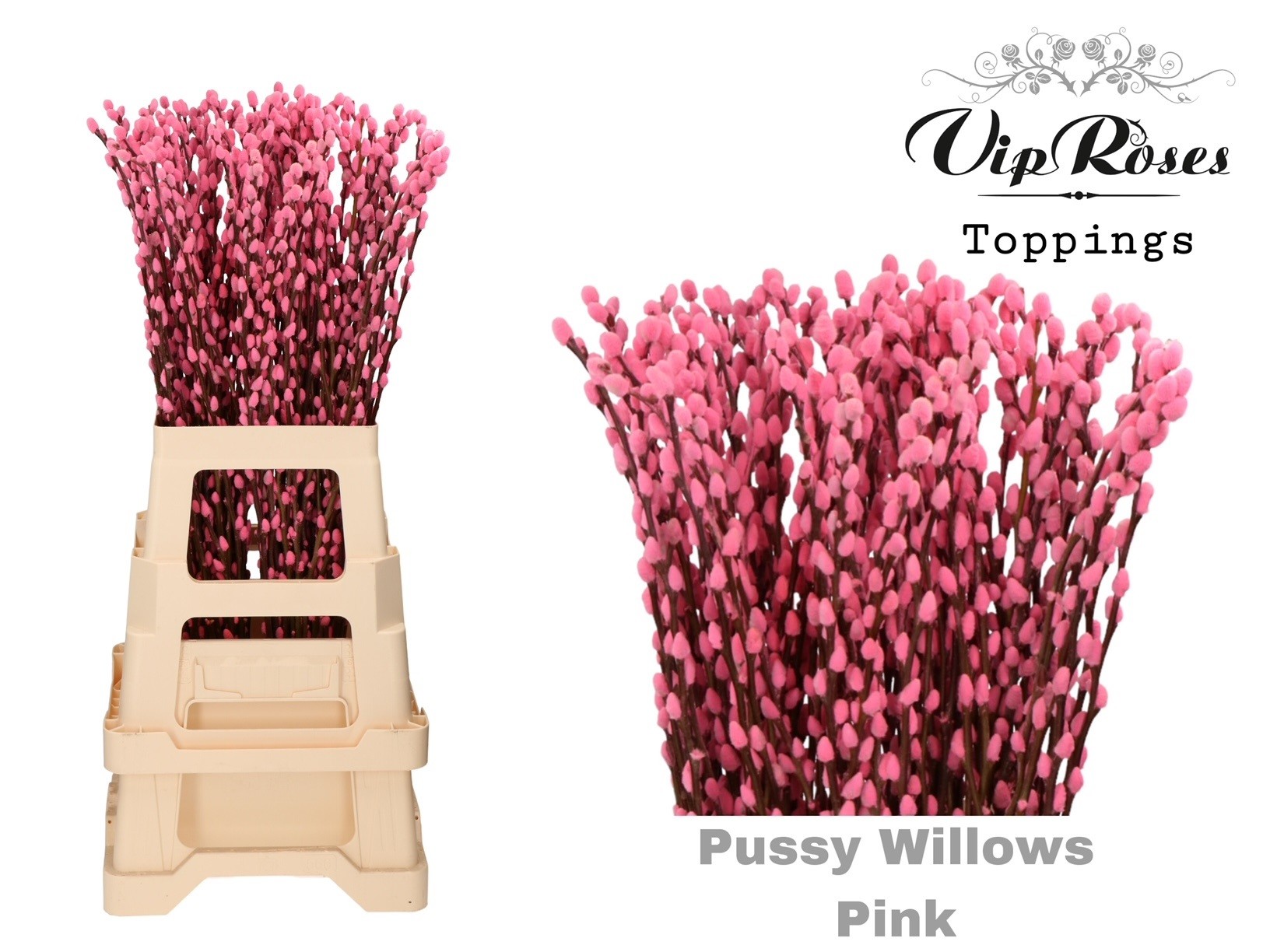 Срезанные цветы оптом Salix paint pussy willow pink от 100шт из Голландии с доставкой по России