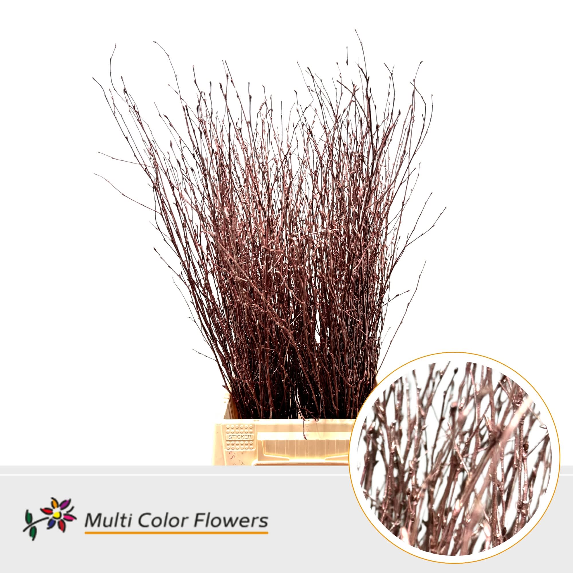 Срезанные цветы оптом Betula paint metallic bordeaux от 100шт из Голландии с доставкой по России