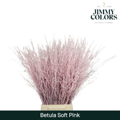 Срезанные цветы оптом Betula paint pink light от 10шт из Голландии с доставкой по России