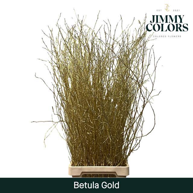 Срезанные цветы оптом Betula paint gold от 10шт. из Голландии с доставкой по России
