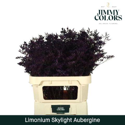 Срезанные цветы оптом Limonium paint aubergine от 25шт из Голландии с доставкой по России