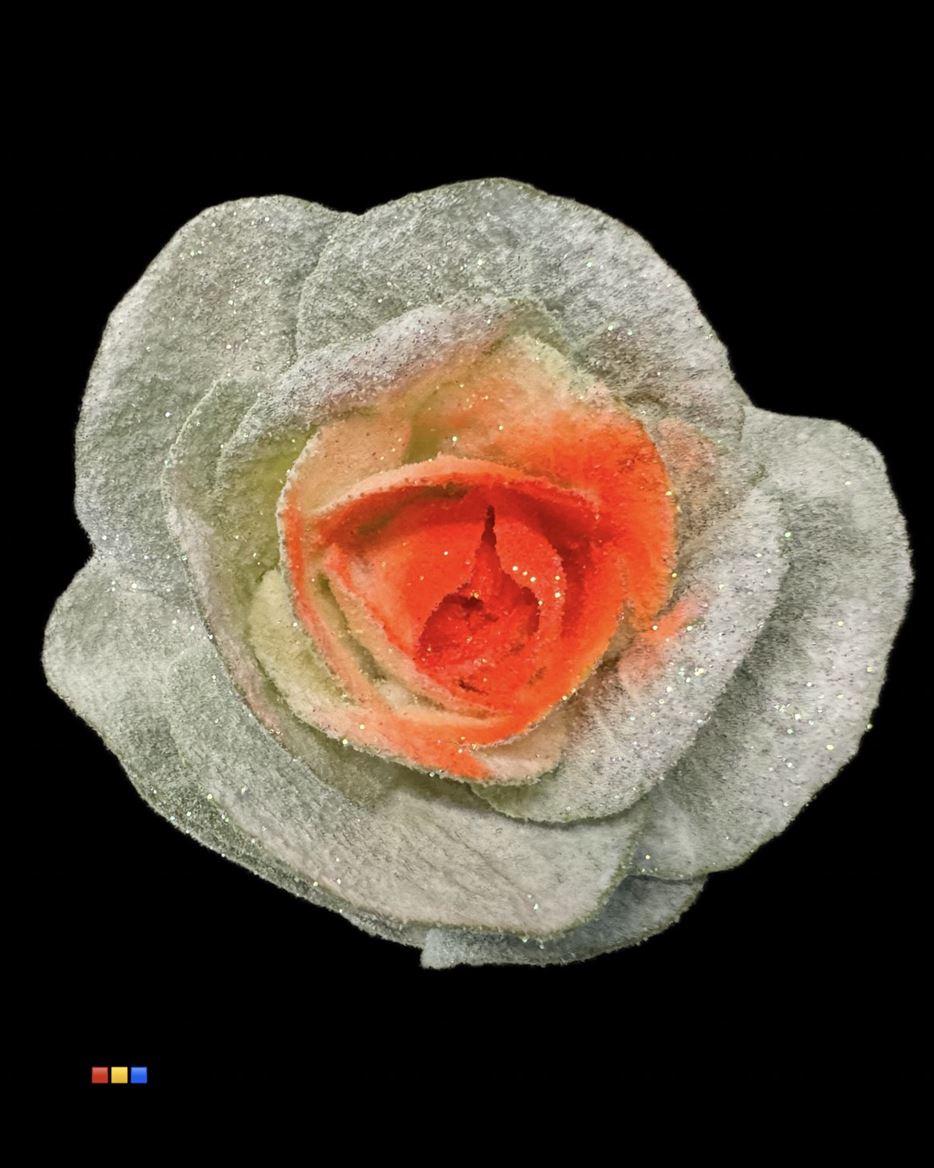 Срезанные цветы оптом Brassica paint marshmallow orange от 20шт из Голландии с доставкой по России