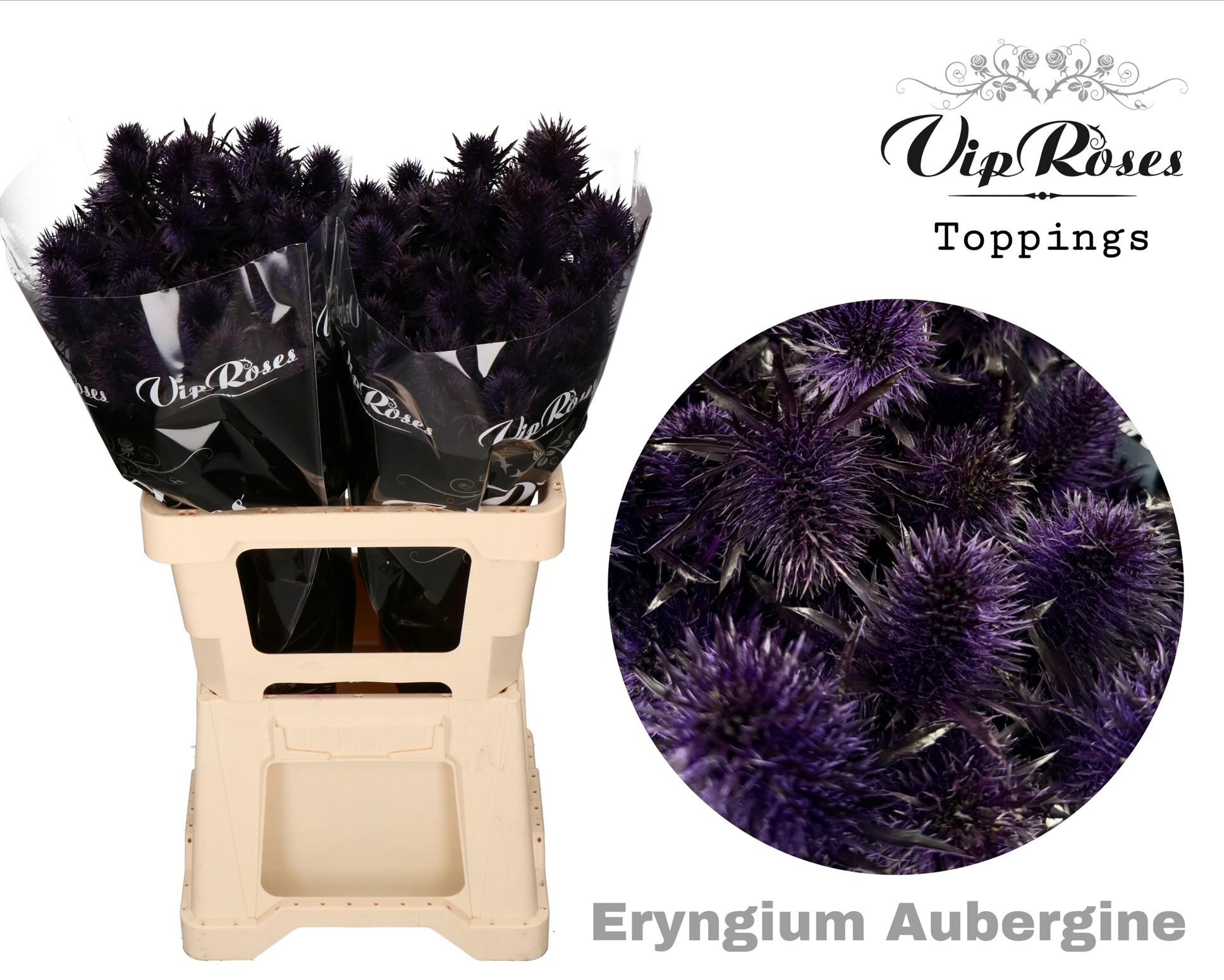 Срезанные цветы оптом Eryngium paint aubergine от 20шт из Голландии с доставкой по России