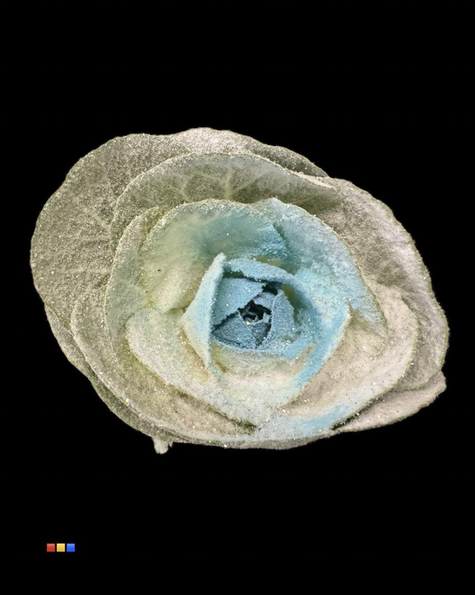 Срезанные цветы оптом Brassica paint marshmallow blue light от 20шт из Голландии с доставкой по России