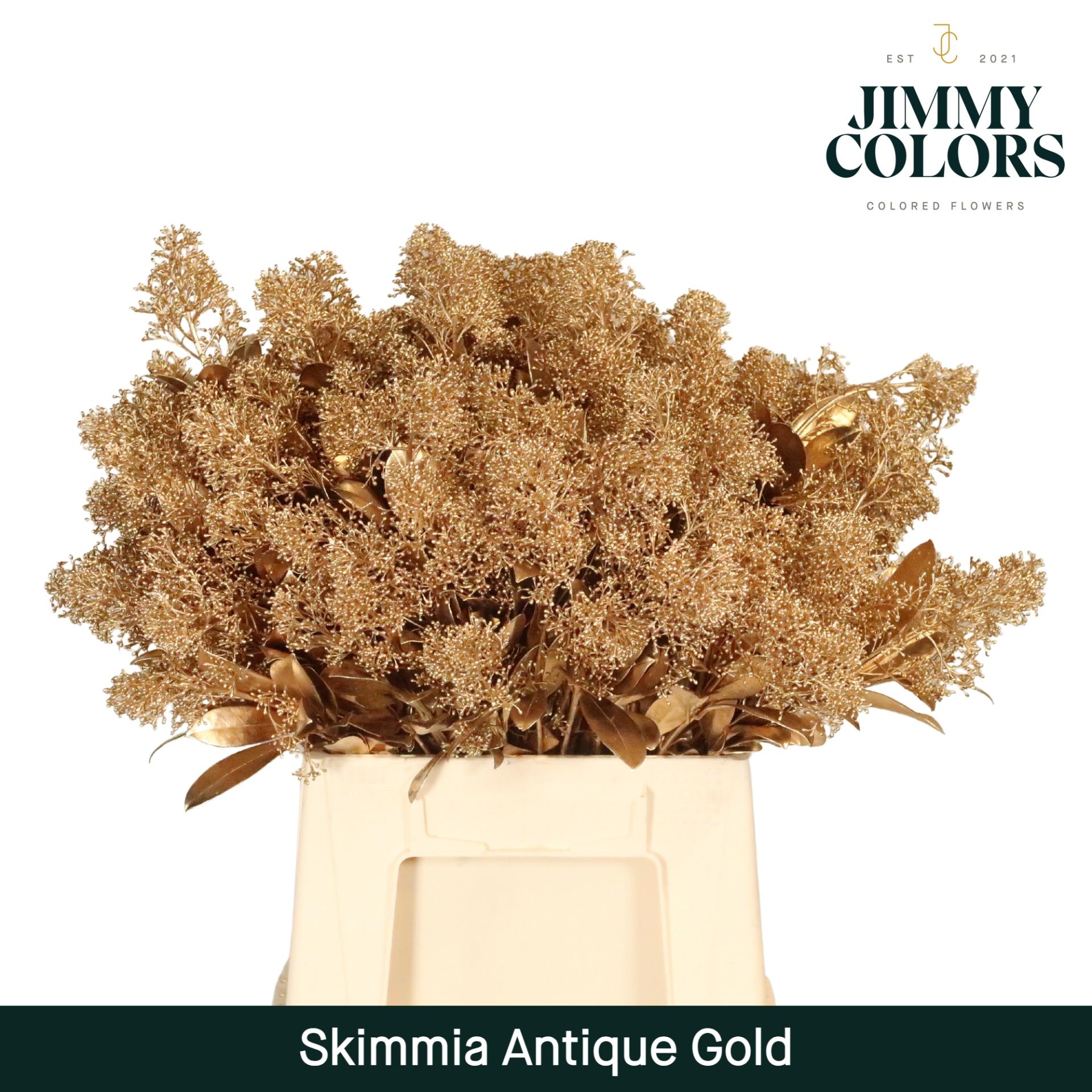 Срезанные цветы оптом Skimmia paint antique gold + glitter от 10шт из Голландии с доставкой по России