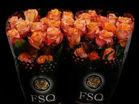 Срезанные цветы оптом Rosa ec twilight от 40шт из Голландии с доставкой по России