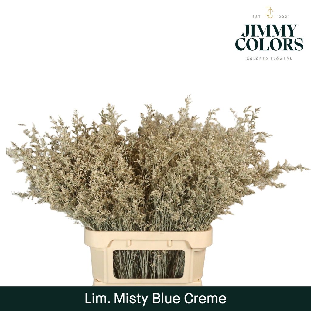 Срезанные цветы оптом Limonium misty blue paint creme от 50шт из Голландии с доставкой по России