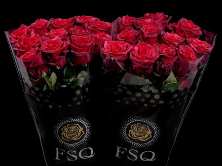 Срезанные цветы оптом Rosa ec red panther от 40шт. из Голландии с доставкой по России