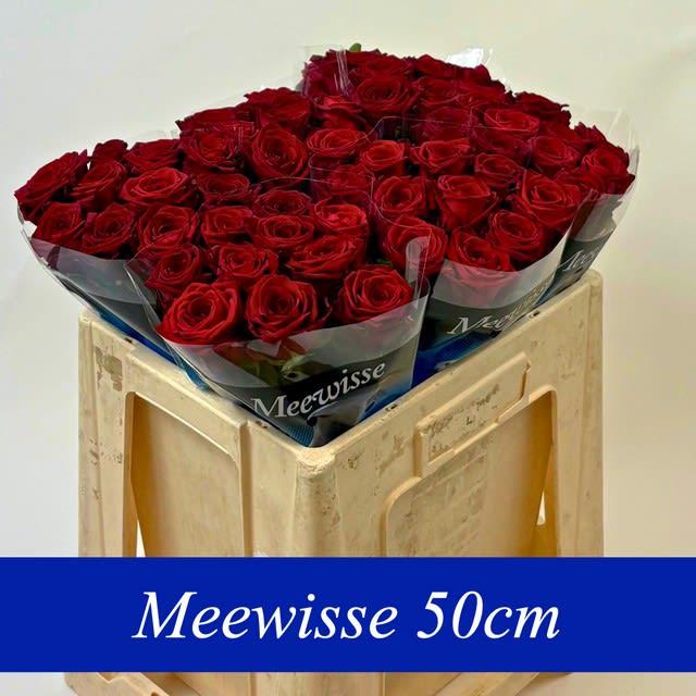 Срезанные цветы оптом Rosa large red naomi! от 60шт. из Голландии с доставкой по России