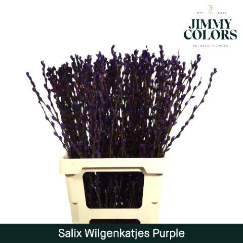 Срезанные цветы оптом Salix paint pussy willow purple от 200шт из Голландии с доставкой по России