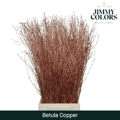 Срезанные цветы оптом Betula paint copper от 10шт из Голландии с доставкой по России