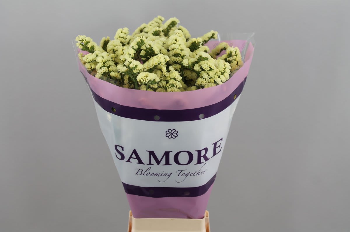 Срезанные цветы оптом Statice yellow sun birds от 25шт из Голландии с доставкой по России