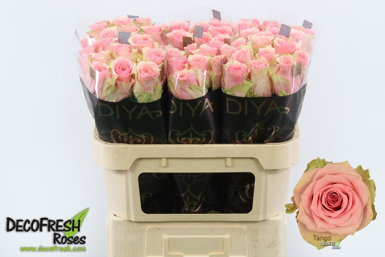 Срезанные цветы оптом Rosa large tango от 80шт из Голландии с доставкой по России
