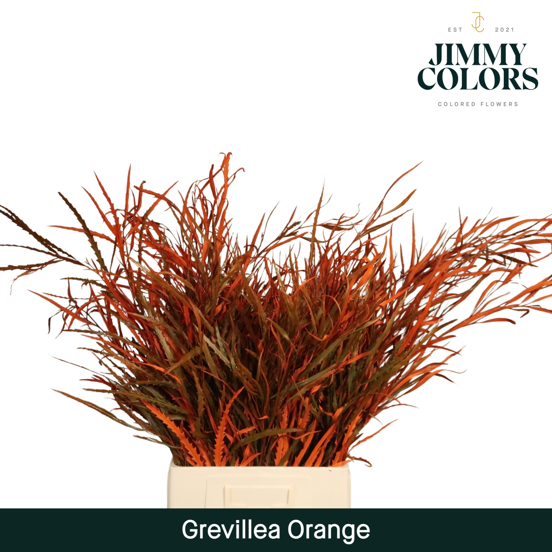 Срезанные цветы оптом Grevillea paint orange от 10шт из Голландии с доставкой по России