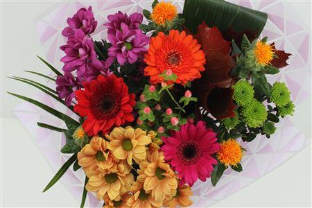 Срезанные цветы оптом Boeket Herfst (middel) от 8шт из Голландии с доставкой по России