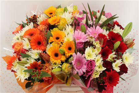 Срезанные цветы оптом Bouquet splash mix от 8шт из Голландии с доставкой по России