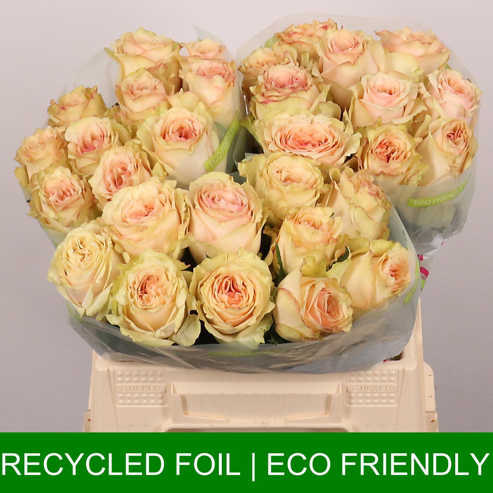 Срезанные цветы оптом Rosa large desert rose от 40шт из Голландии с доставкой по России