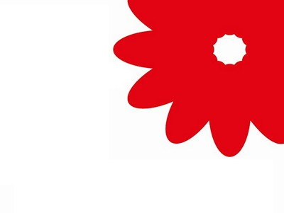 Срезанные цветы оптом Hypericum red от 80шт из Голландии с доставкой по России